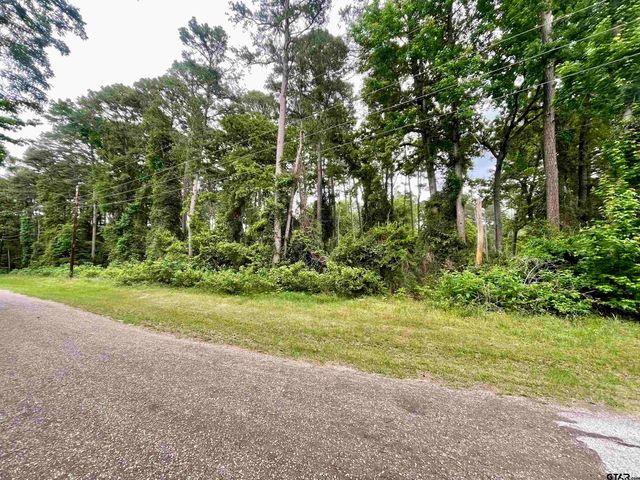 501 Charlya Dr, Bullard, TX 75757