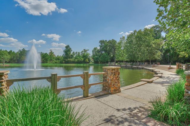 11 Shumard Oak Drive, The Woodlands, TX 77375