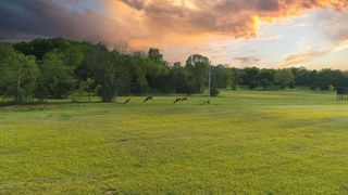 7 Corinth Road, Mount Juliet, TN 37122
