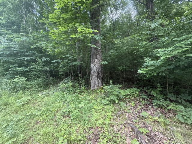 0 Caney Branch Rd, Stewart, TN 37175