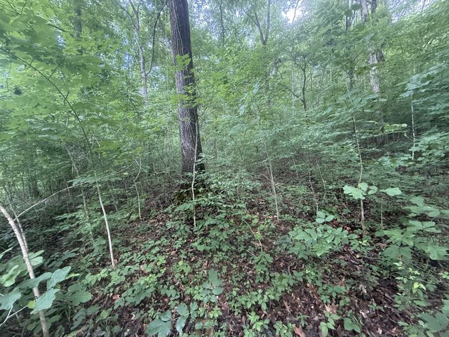 0 Caney Branch Rd, Stewart, TN 37175