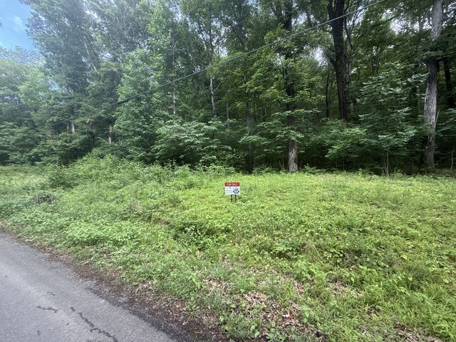 0 Caney Branch Rd, Stewart, TN 37175