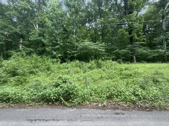 0 Caney Branch Rd, Stewart, TN 37175