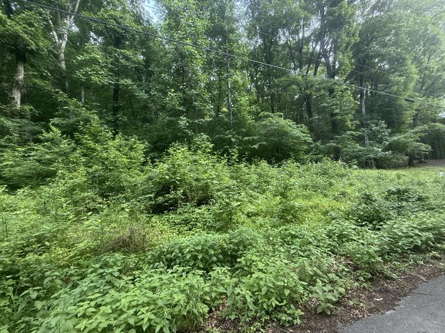 0 Caney Branch Rd, Stewart, TN 37175