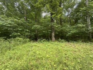0 Caney Branch Rd, Stewart, TN 37175