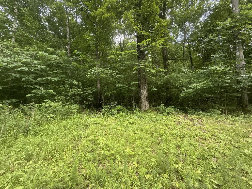 0 Caney Branch Rd, Stewart, TN 37175