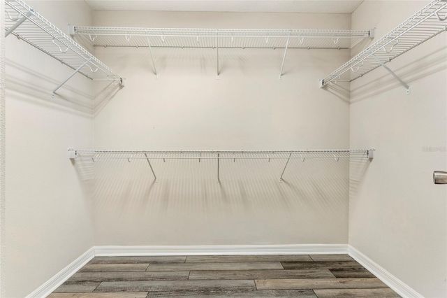 13366 ABUELA ALLEY, Windermere, FL 34786