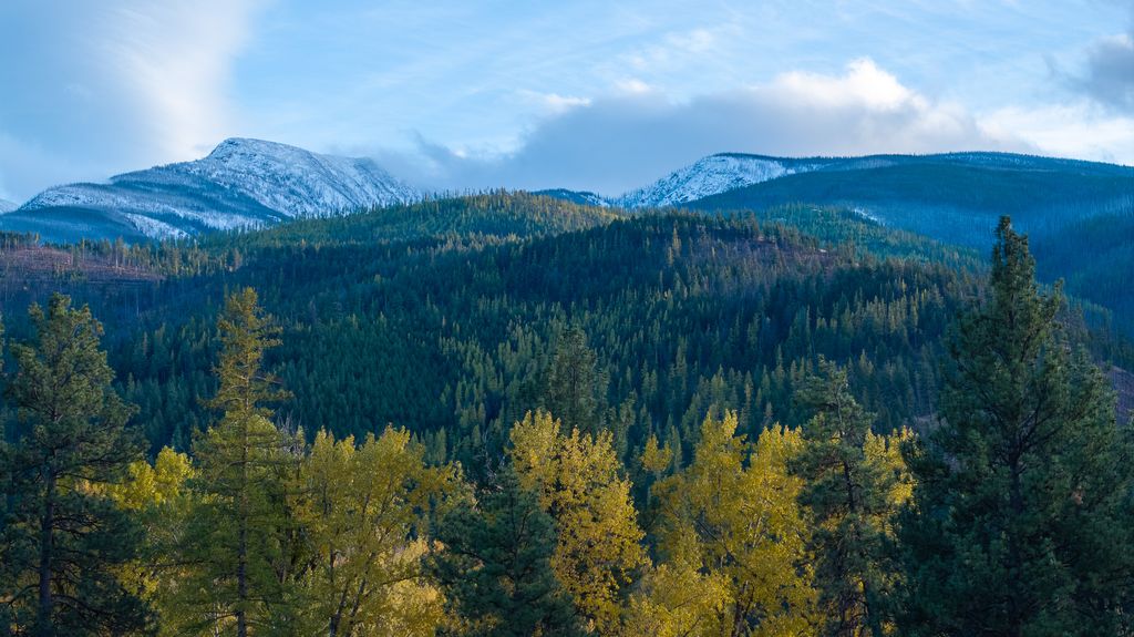 Lolo Peak Shadows, Lolo, MT 59847 photo 108