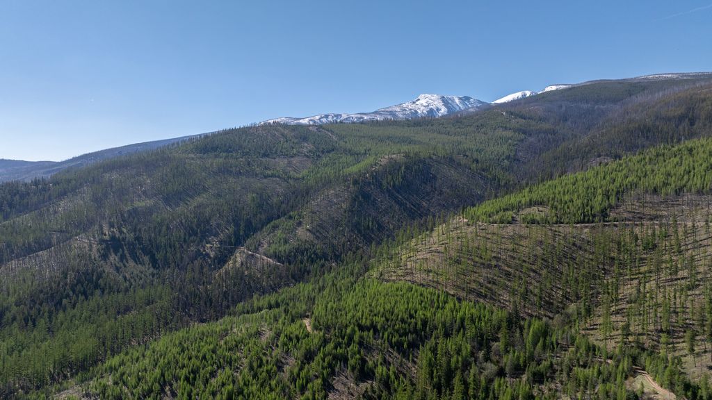 Lolo Peak Shadows, Lolo, MT 59847 photo 11