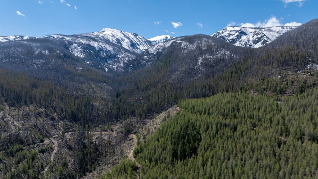 Lolo Peak Shadows, Lolo, MT 59847 photo 12