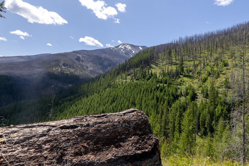 Lolo Peak Shadows, Lolo, MT 59847 photo 15