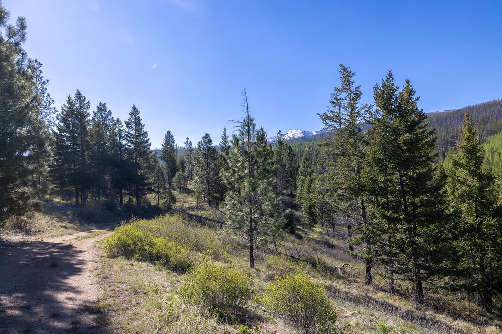 Lolo Peak Shadows, Lolo, MT 59847 photo 20