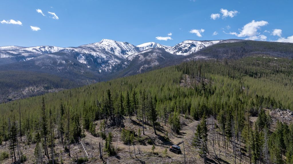 Lolo Peak Shadows, Lolo, MT 59847 photo 26