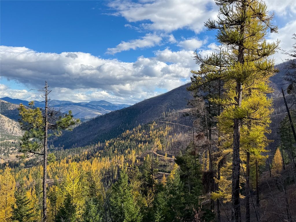 Lolo Peak Shadows, Lolo, MT 59847 photo 3