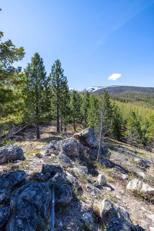 Lolo Peak Shadows, Lolo, MT 59847 photo 33