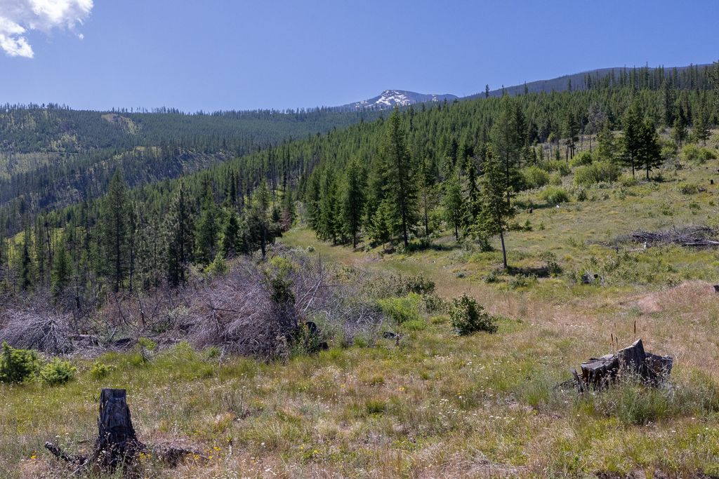 Lolo Peak Shadows, Lolo, MT 59847 photo 43