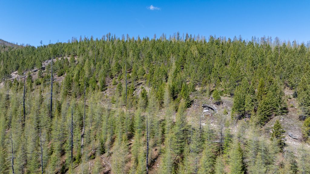 Lolo Peak Shadows, Lolo, MT 59847 photo 47