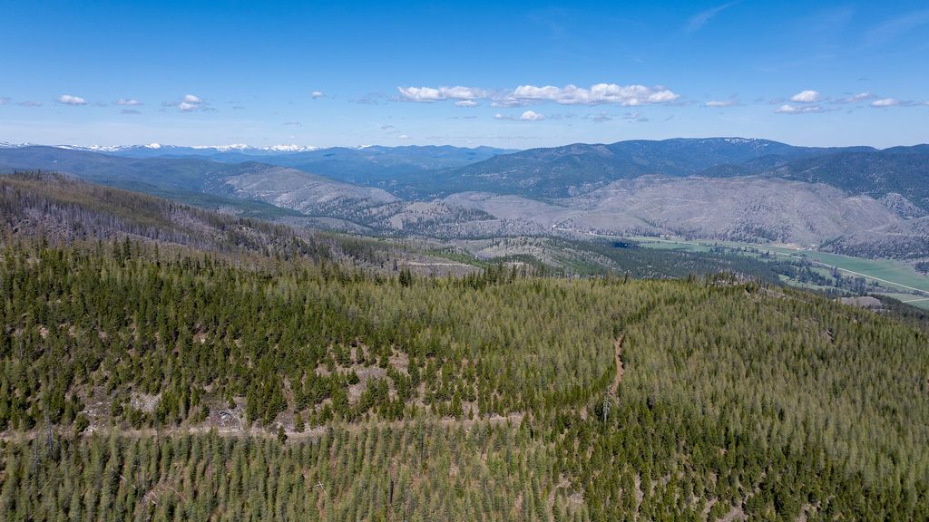 Lolo Peak Shadows, Lolo, MT 59847 photo 50