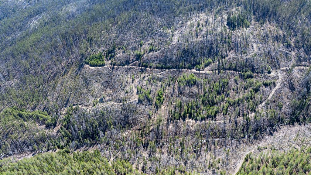 Lolo Peak Shadows, Lolo, MT 59847 photo 53