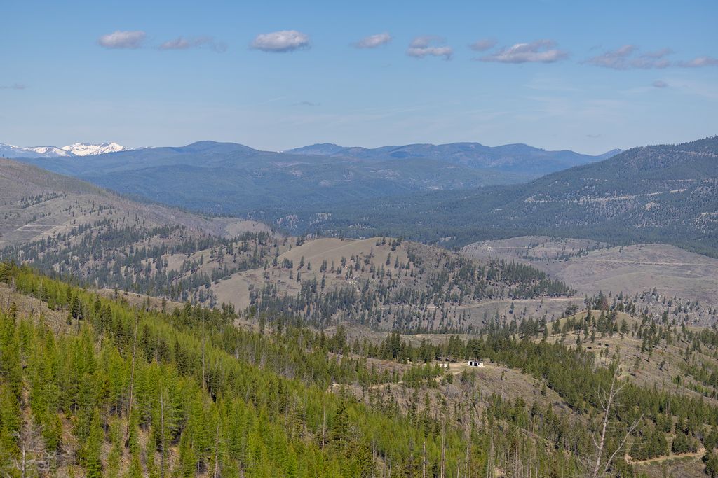 Lolo Peak Shadows, Lolo, MT 59847 photo 57