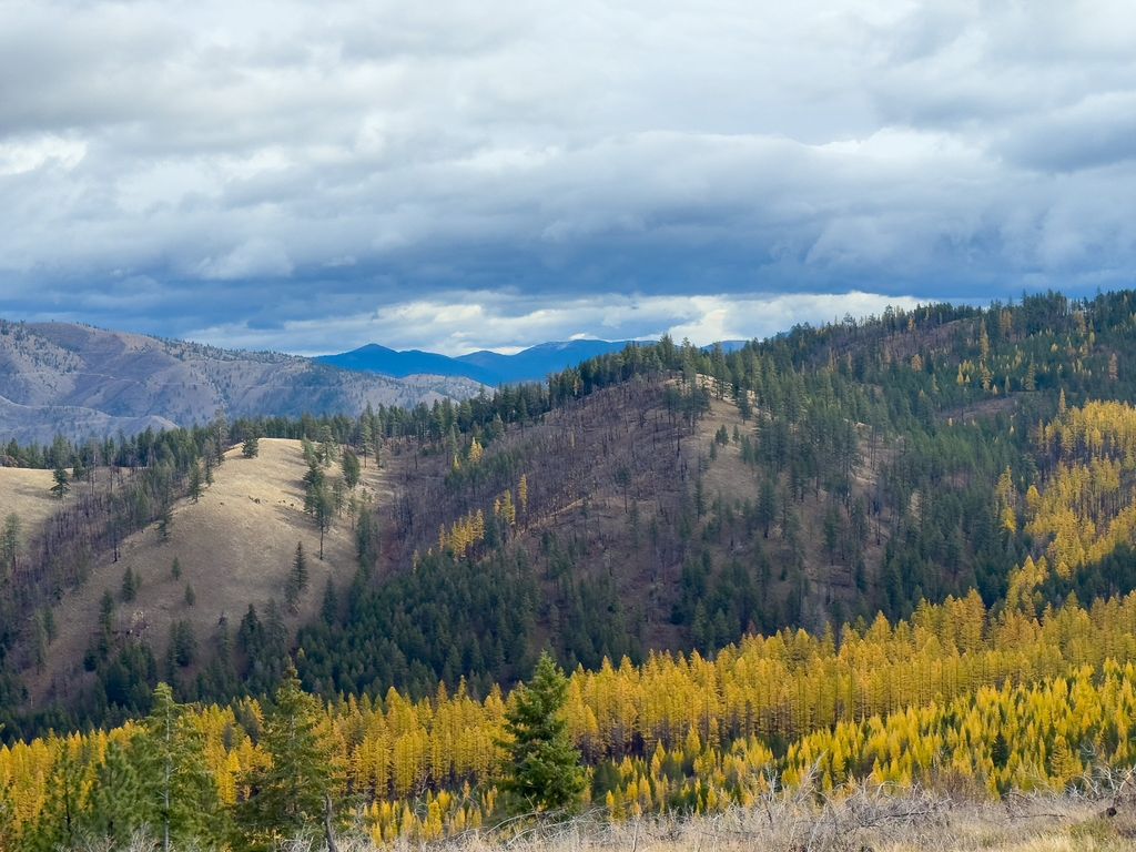 Lolo Peak Shadows, Lolo, MT 59847 photo 6