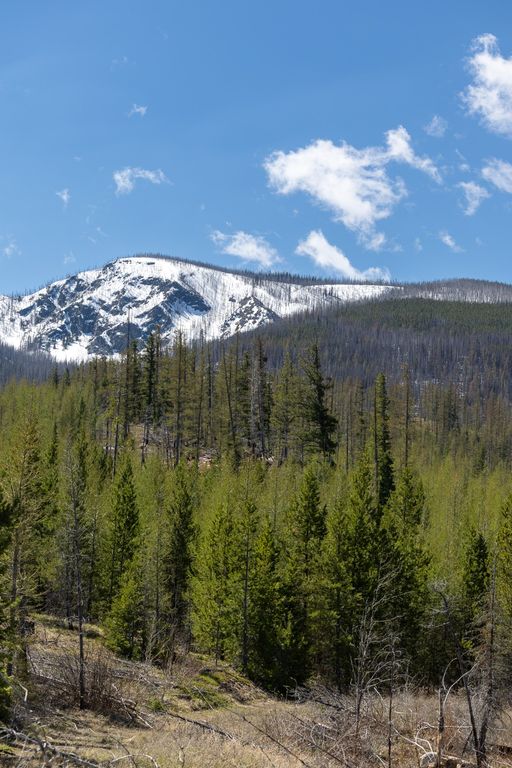 Lolo Peak Shadows, Lolo, MT 59847 photo 62