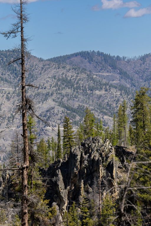 Lolo Peak Shadows, Lolo, MT 59847 photo 65