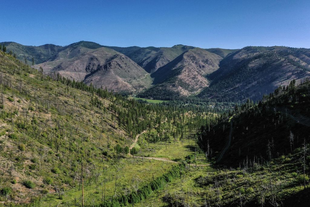 Lolo Peak Shadows, Lolo, MT 59847 photo 71