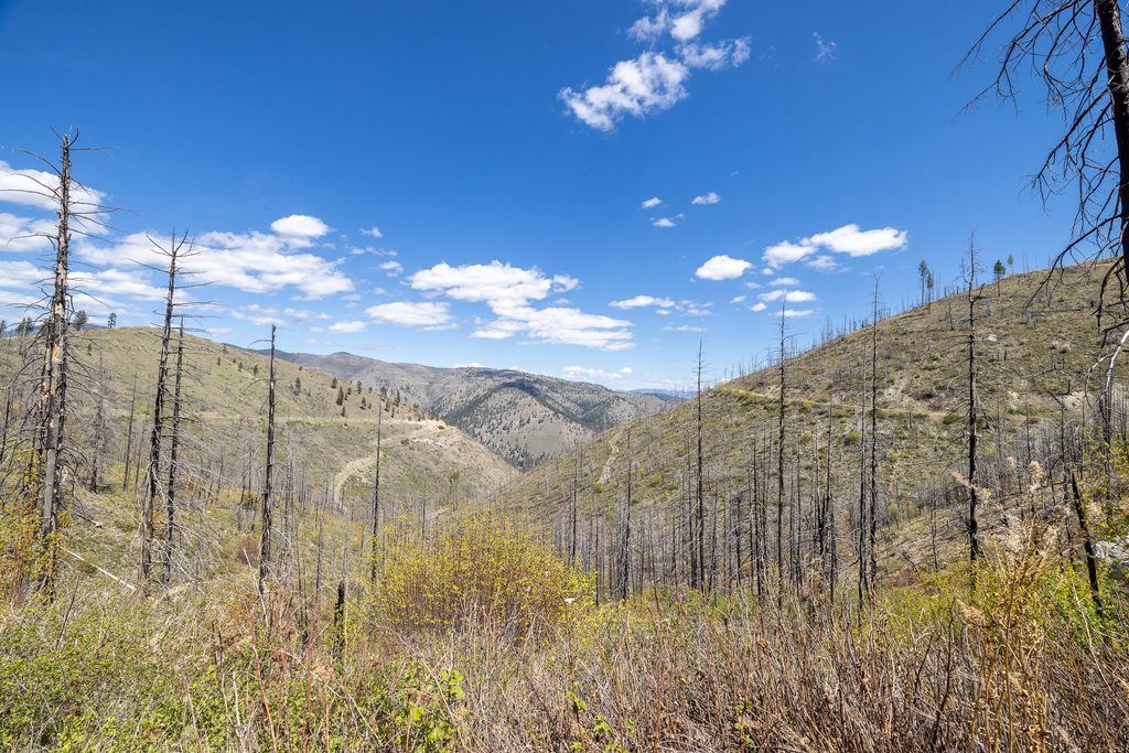 Lolo Peak Shadows, Lolo, MT 59847 photo 74