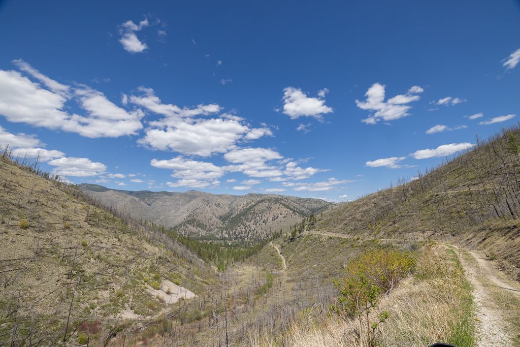 Lolo Peak Shadows, Lolo, MT 59847 photo 76