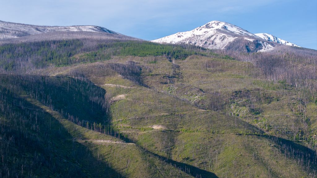 Lolo Peak Shadows, Lolo, MT 59847 photo 85