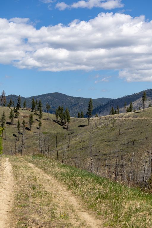 Lolo Peak Shadows, Lolo, MT 59847 photo 88