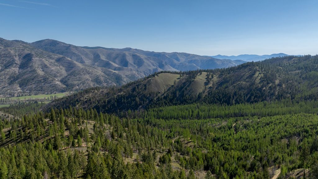 Lolo Peak Shadows, Lolo, MT 59847 photo 9