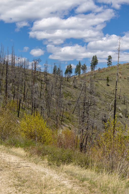 Lolo Peak Shadows, Lolo, MT 59847 photo 90