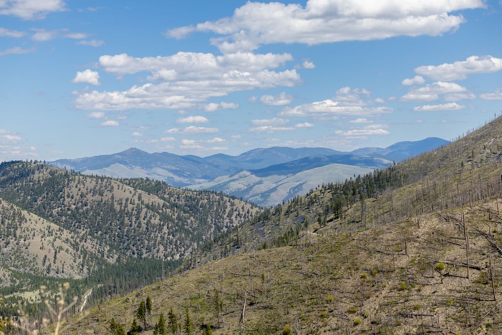 Lolo Peak Shadows, Lolo, MT 59847 photo 93