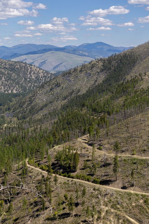 Lolo Peak Shadows, Lolo, MT 59847 photo 94