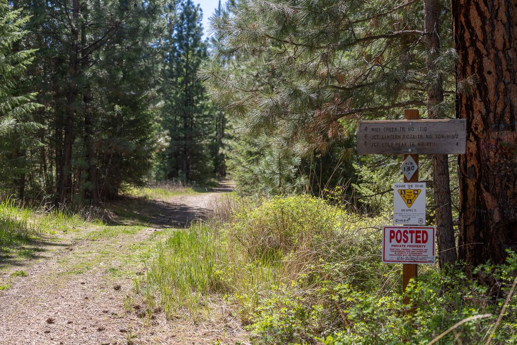 Lolo Peak Shadows, Lolo, MT 59847 photo 97