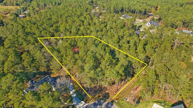 8602 Cedar Meadow Lane, Plantersville, TX 77363