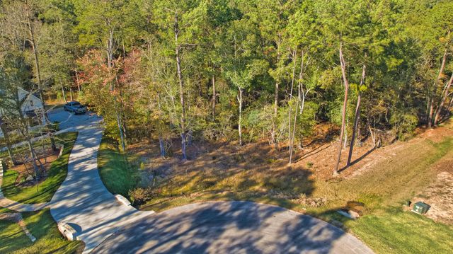 8602 Cedar Meadow Lane, Plantersville, TX 77363