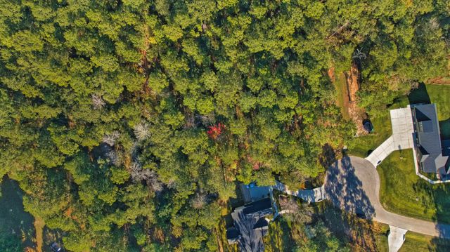 8602 Cedar Meadow Lane, Plantersville, TX 77363