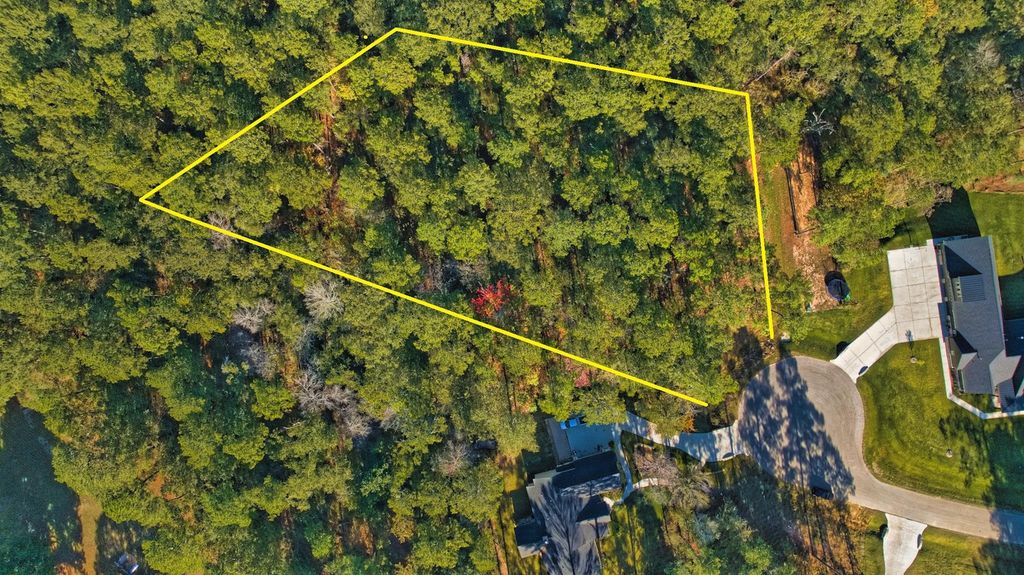 8602 Cedar Meadow Lane, Plantersville, TX 77363