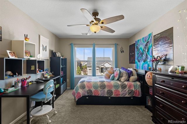 8480 Arapahoe Peak Street, Littleton, CO 80125