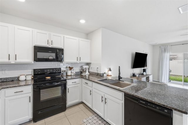 16163 SILENT SANDS LANE, Odessa, FL 33556