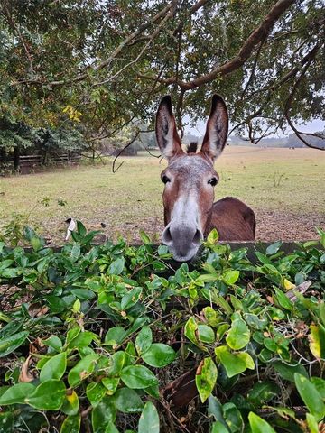 17457 SE 76TH FLINTLOCK TERRACE, The Villages, FL 32162