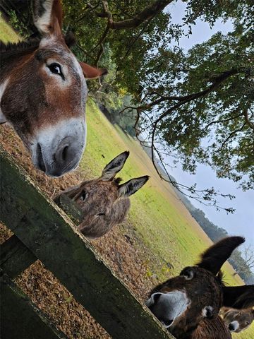 17457 SE 76TH FLINTLOCK TERRACE, The Villages, FL 32162