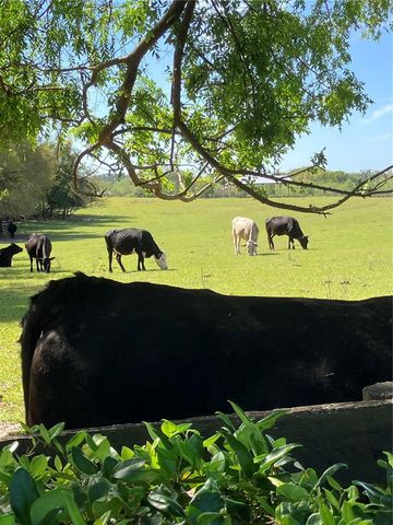 17457 SE 76TH FLINTLOCK TERRACE, The Villages, FL 32162