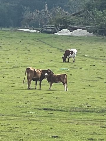 17457 SE 76TH FLINTLOCK TERRACE, The Villages, FL 32162