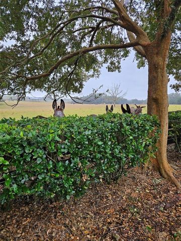 17457 SE 76TH FLINTLOCK TERRACE, The Villages, FL 32162