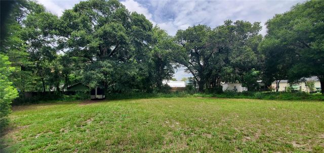 206 E PINE AVENUE, Mount Dora, FL 32757