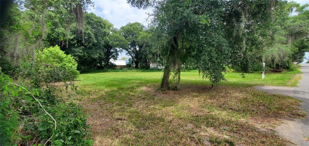 206 E PINE AVENUE, Mount Dora, FL 32757
